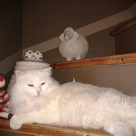 Couette-café La Citadelle LʼHospitalet-du-Larzac