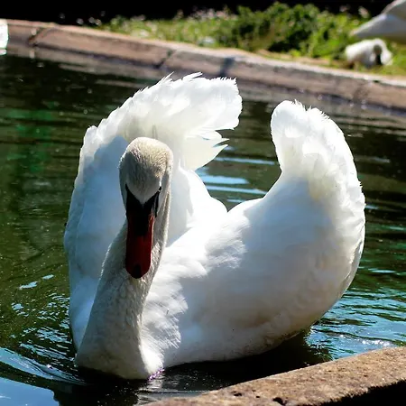 La Citadelle Couette-café LʼHospitalet-du-Larzac