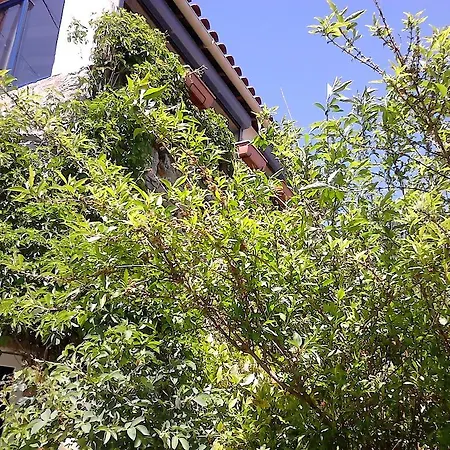 לינה וארוחת בוקר La Citadelle LʼHospitalet-du-Larzac